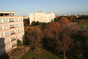 koleje