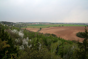 Okoli